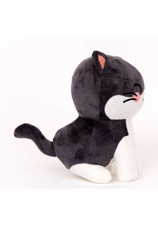 Gato Mr.Wonderful