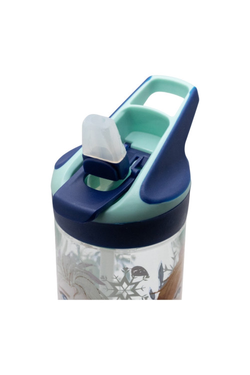 Botella Frozen