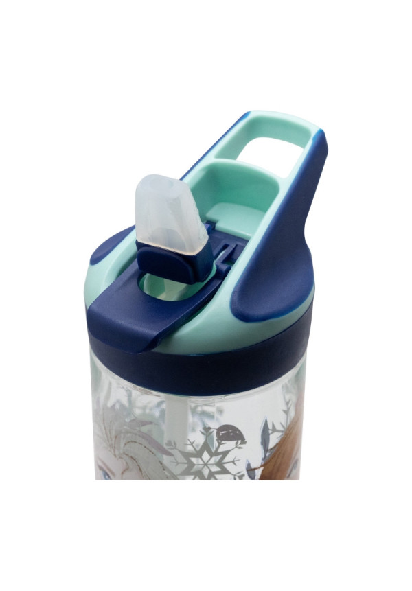 Botella Frozen
