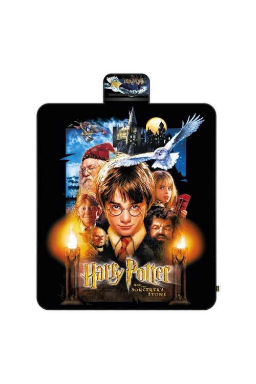 Picnic Harry Potter