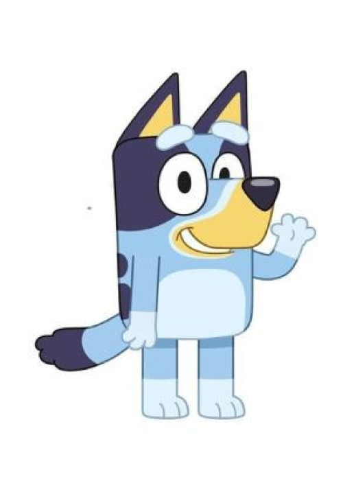 Bluey Cojín