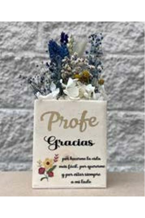 Bote Profe