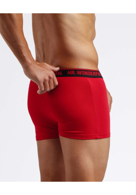 Boxer T. L