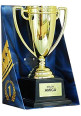 Trofeo Amiga
