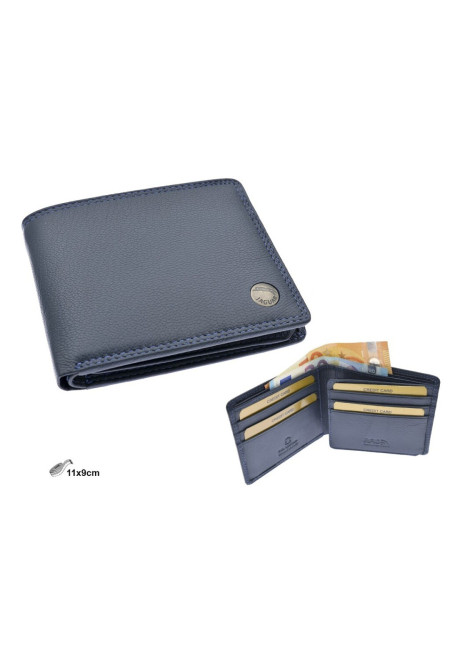 Cartera Azul