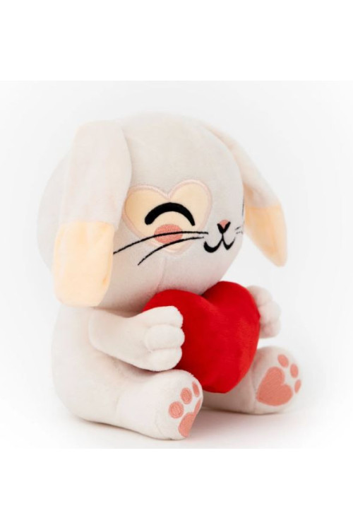 Conejito Mr.Wonderful