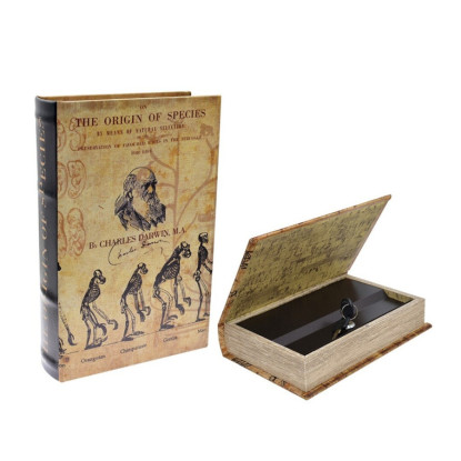 Libro-Caja Fuerte