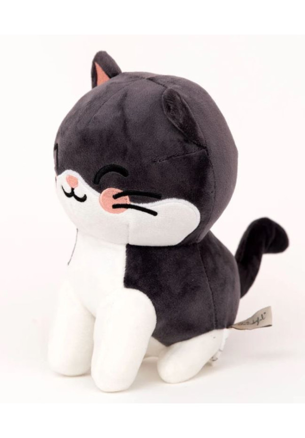 Gato Mr.Wonderful
