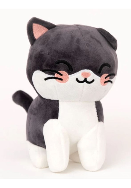 Gato Mr.Wonderful