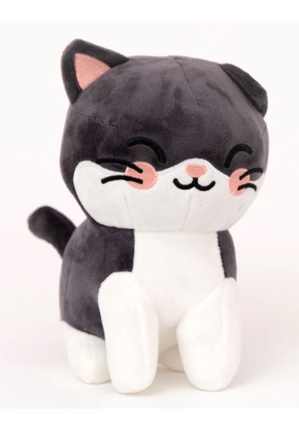 Gato Mr.Wonderful