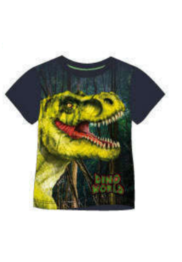 Camiseta T.6