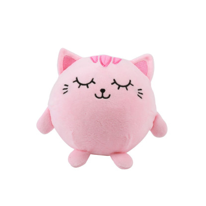 Squishy Gato