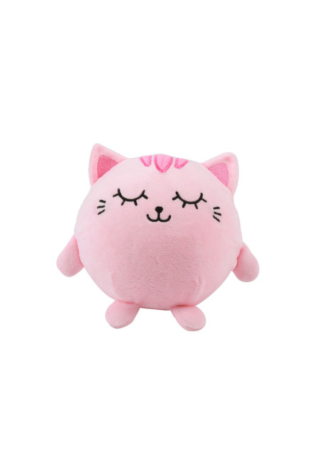 Squishy Gato