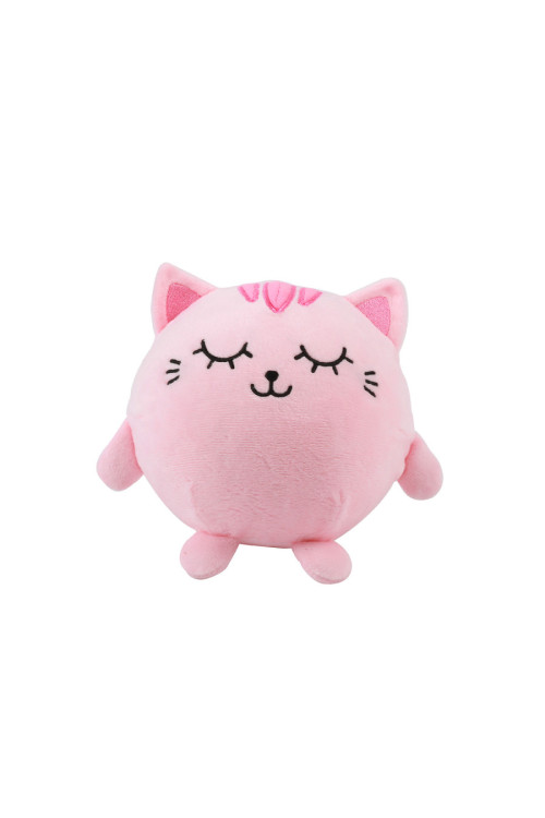 Squishy Gato