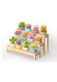 Mini set planta