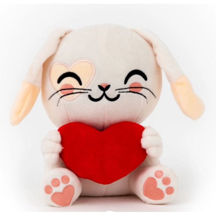 Conejito Mr.Wonderful