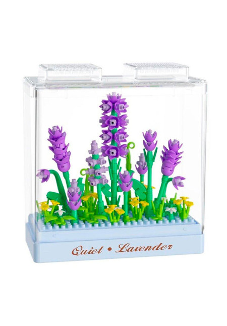 KOCO Lavanda