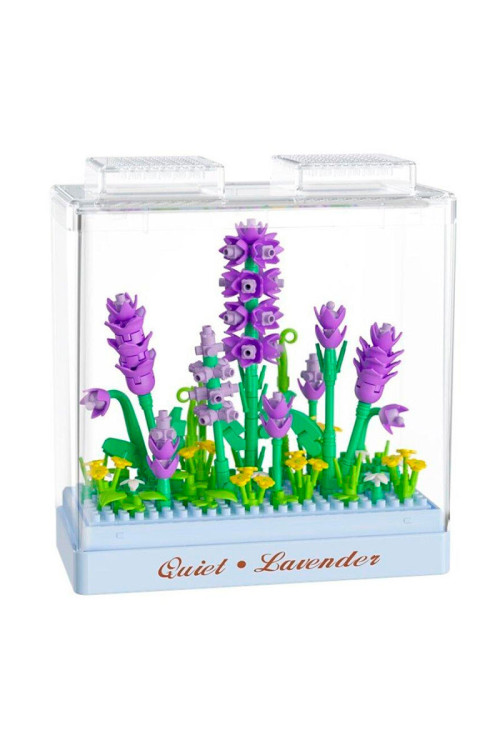 KOCO Lavanda