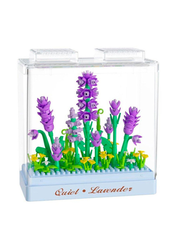 KOCO Lavanda
