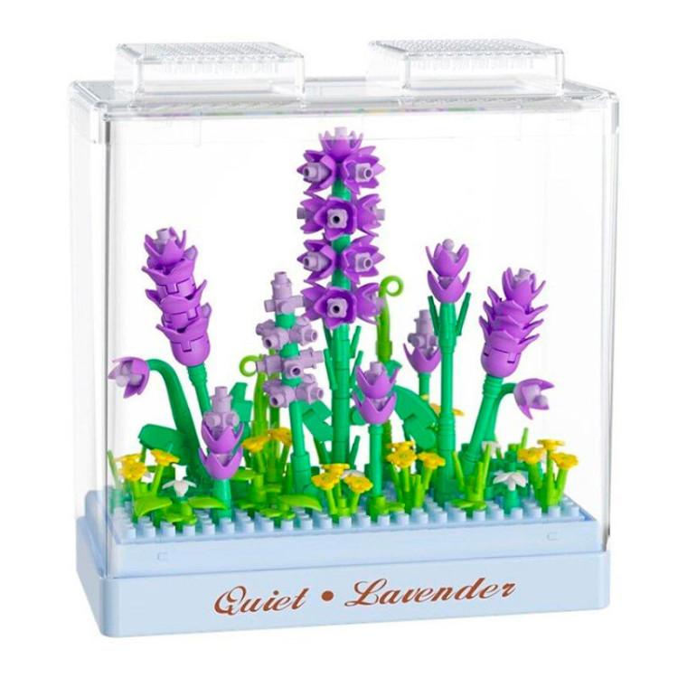 KOCO Lavanda