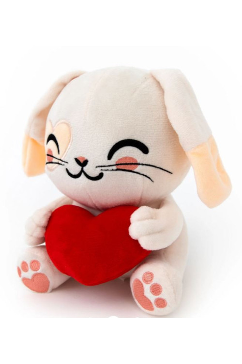 Conejito Mr.Wonderful