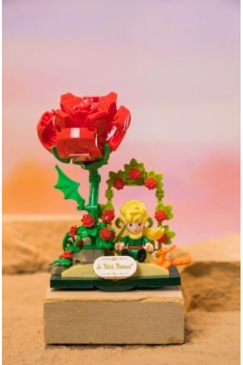 Principito Construcción