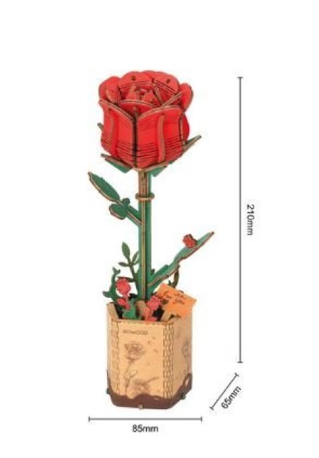 Rosa Roja