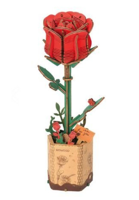 Rosa Roja