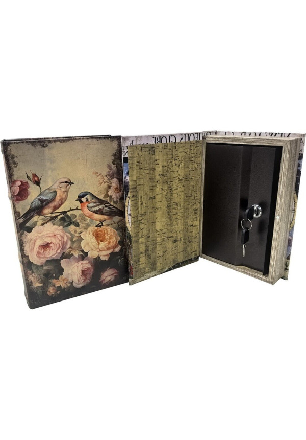 Libro Caja-fuerte
