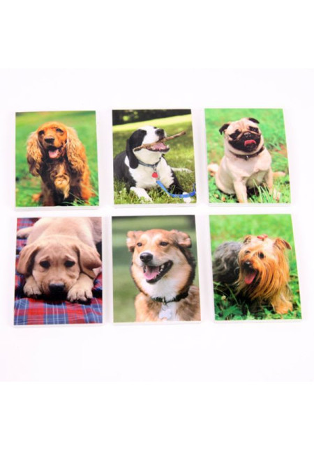 Mini libretas